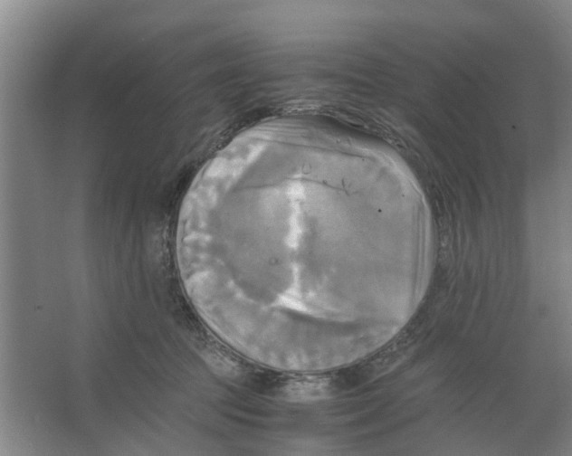 X0000066520369200604141820