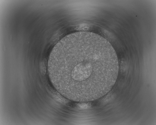 X0000066520370200604141820