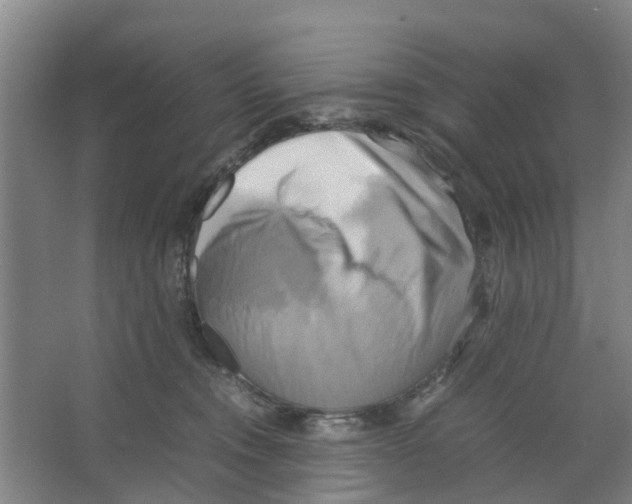 X0000066520372200604141820