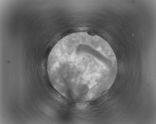 X0000066520373200604141820