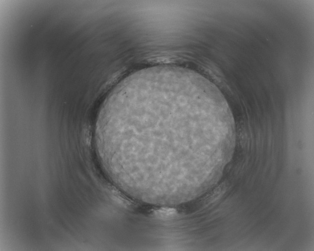 X0000066520374200604141820