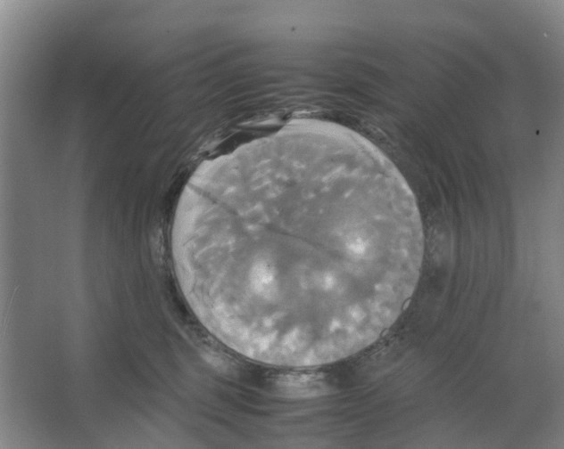 X0000066520375200604141820