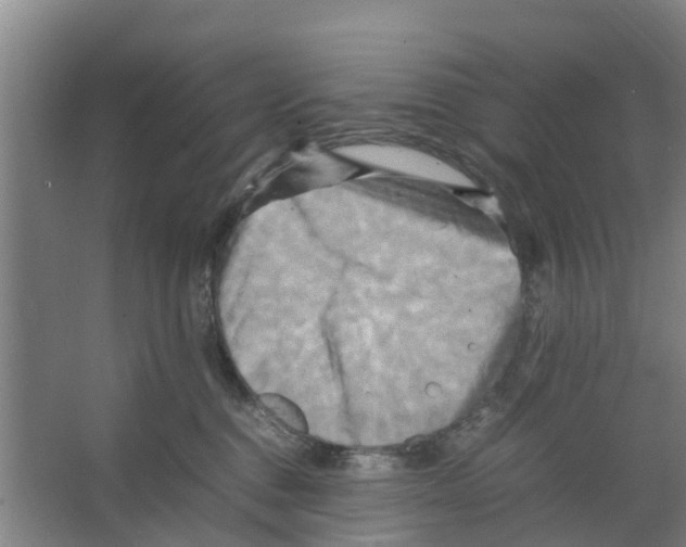 X0000066520376200604141820