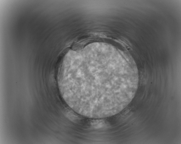 X0000066520377200604141820