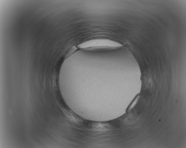 X0000066520379200604141820