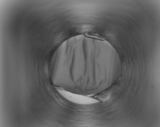 X0000066520380200604141820