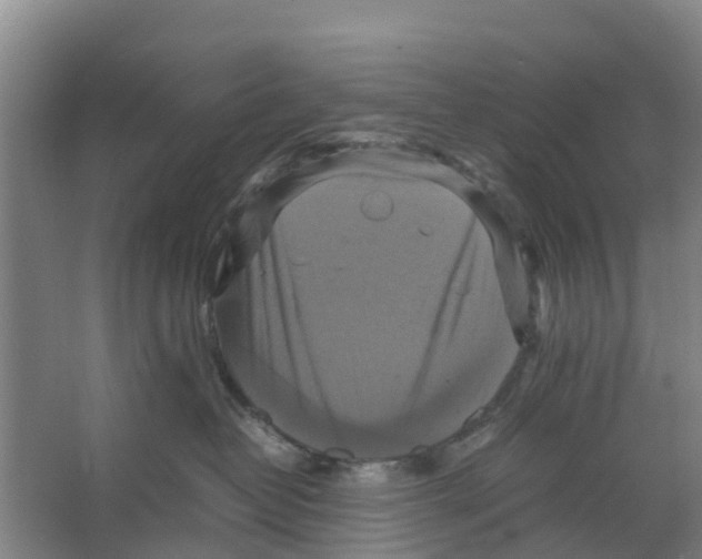 X0000066520382200604141820