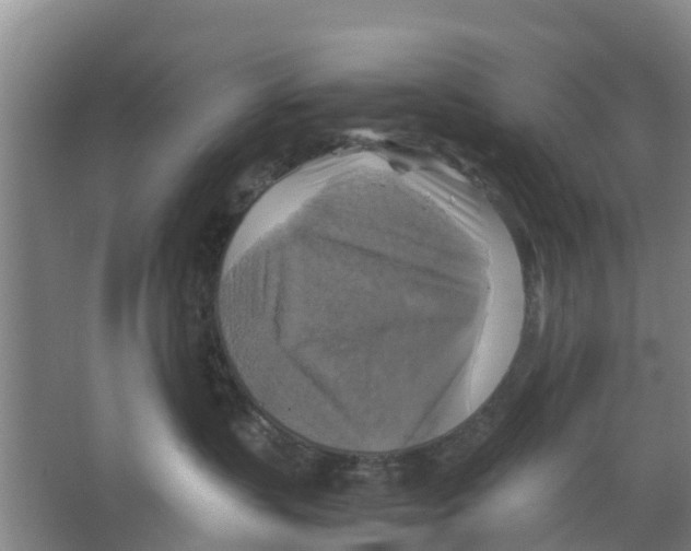 X0000066520383200604141820