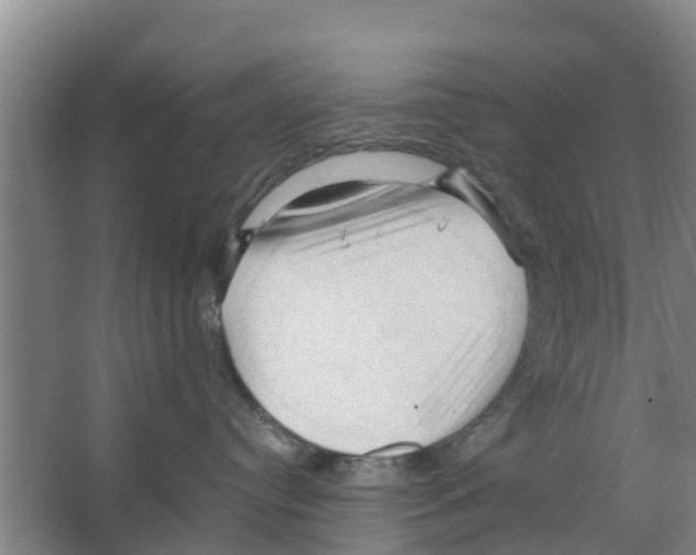 X0000066520384200604141820