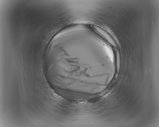 X0000066520385200604141819