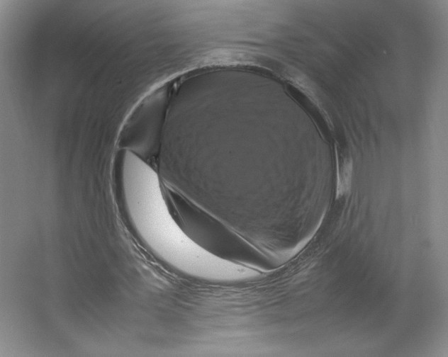 X0000066520387200604141819