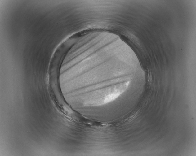 X0000066520388200604141819