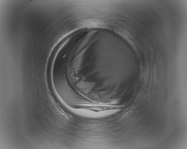 X0000066520391200604141819