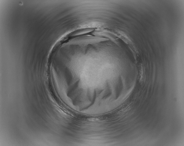 X0000066520392200604141819