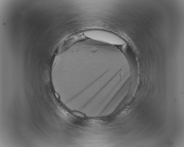 X0000066520393200604141819