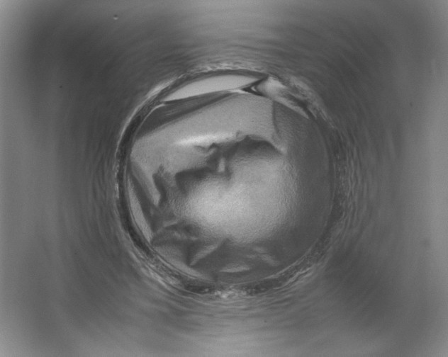 X0000066520395200604141819