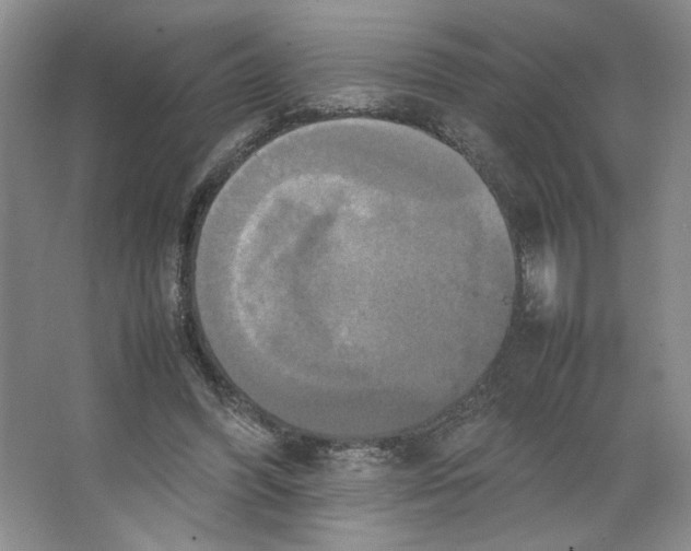 X0000066520396200604141819