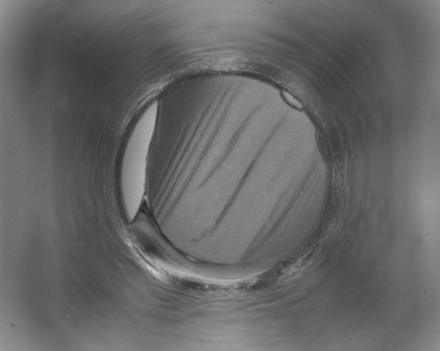 X0000066520397200604141819