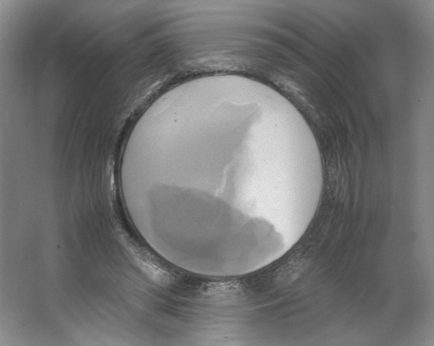 X0000066520398200604141819