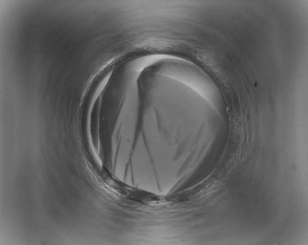 X0000066520399200604141819