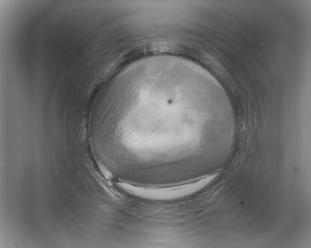 X0000066520401200604141819