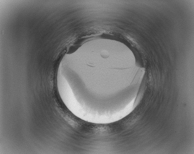 X0000066520402200604141819