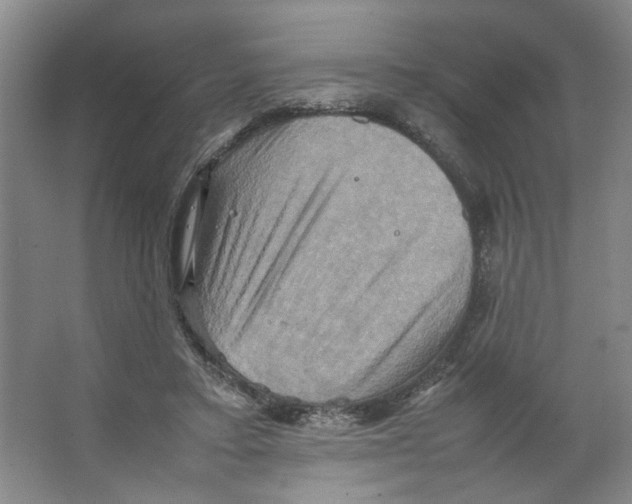 X0000066520403200604141819