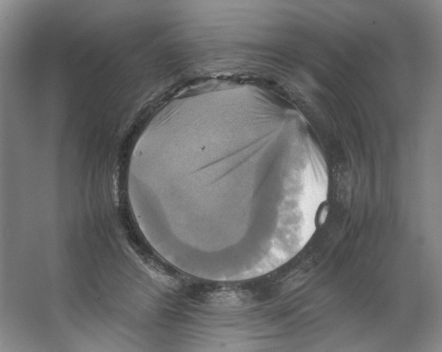 X0000066520404200604141819