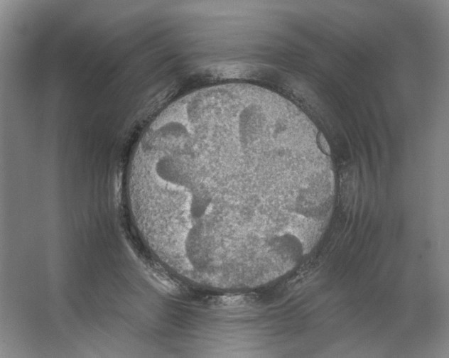 X0000066520406200604141819