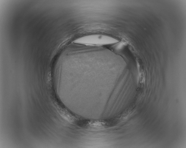 X0000066520407200604141819