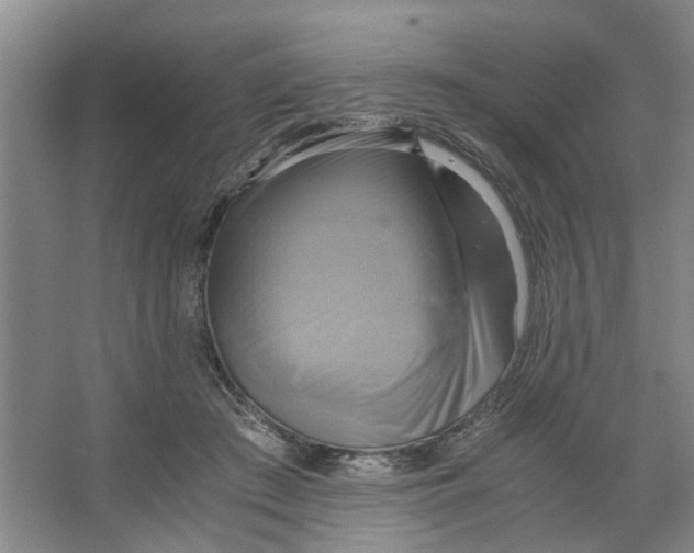 X0000066520409200604141819