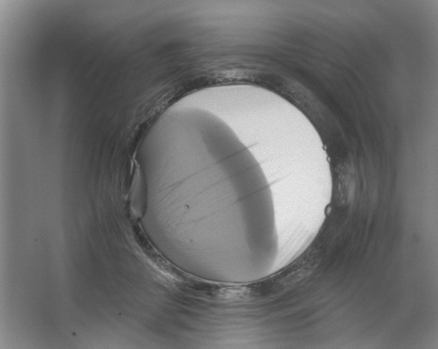 X0000066520410200604141819