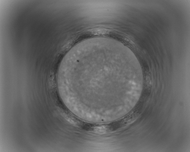 X0000066520411200604141819