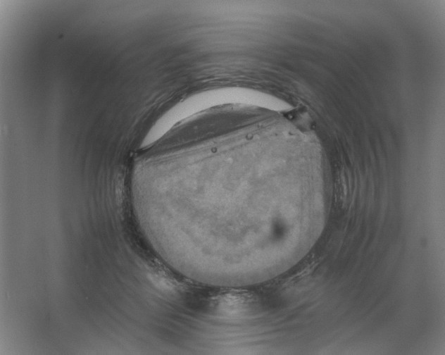 X0000066520412200604141819