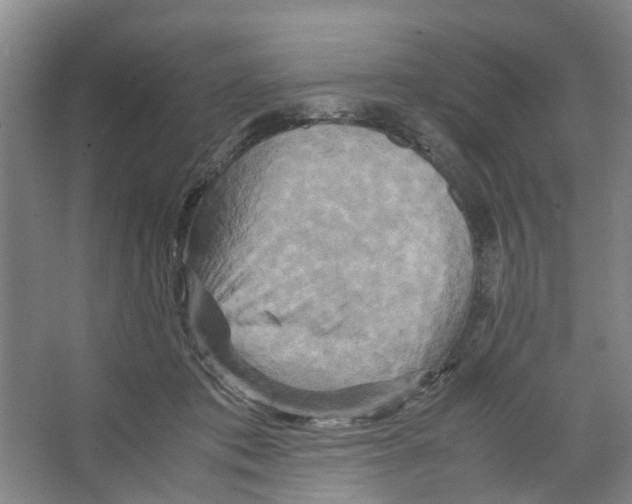 X0000066520413200604141819