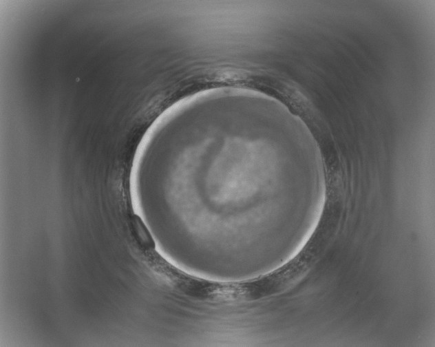 X0000066520415200604141819