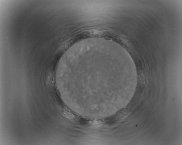 X0000066520419200604141819