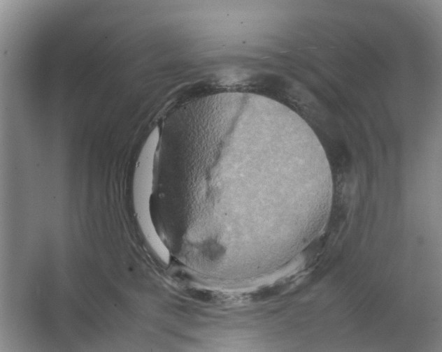 X0000066520421200604141819