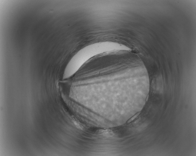 X0000066520424200604141819