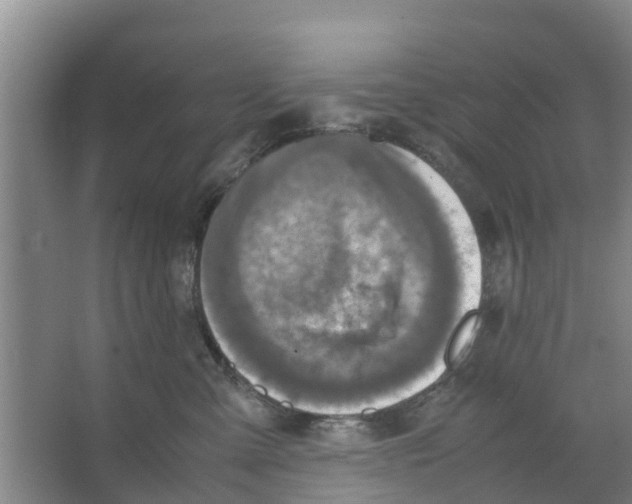 X0000066520427200604141819