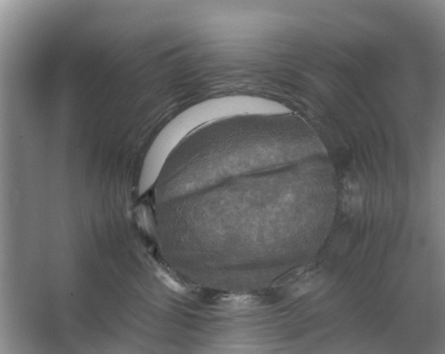 X0000066520428200604141819