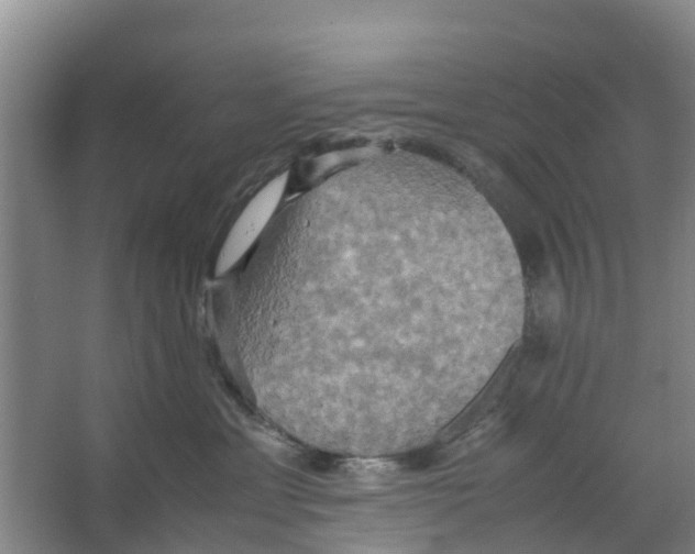 X0000066520429200604141819