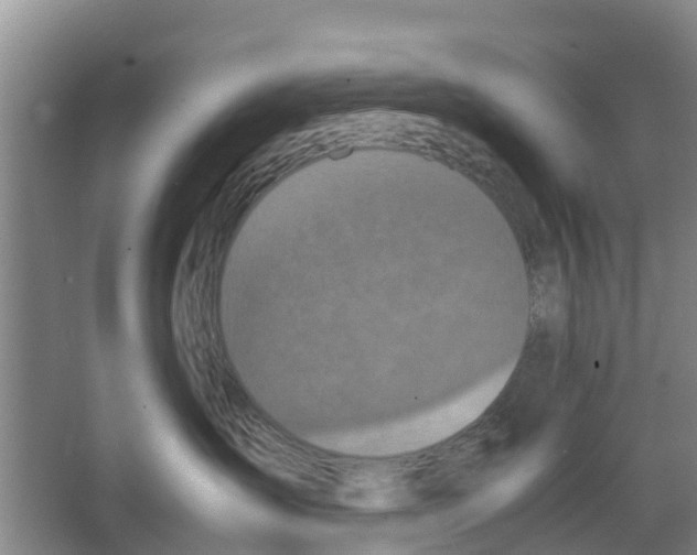 X0000066520431200604141819