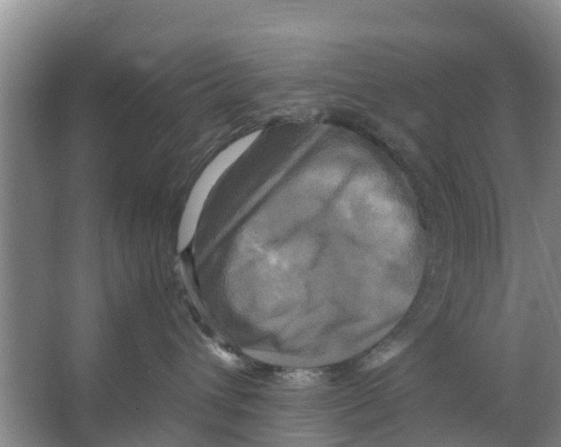 X0000066520432200604141819