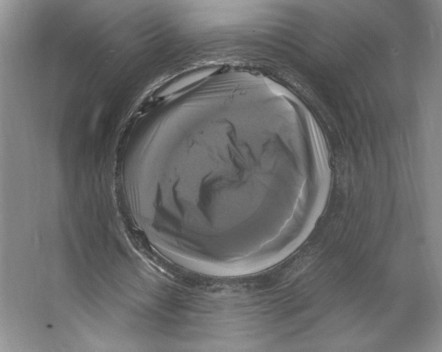 X0000066520434200604141818