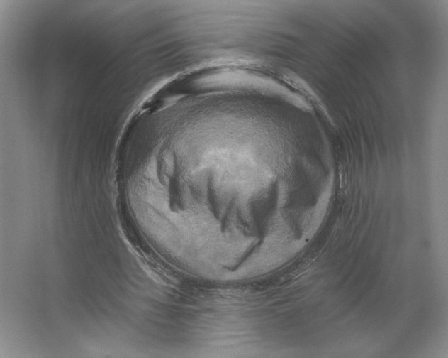 X0000066520436200604141818