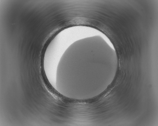 X0000066520438200604141818