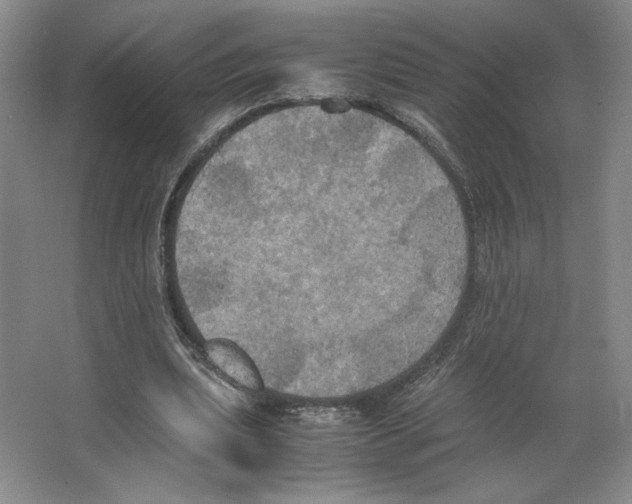 X0000066520439200604141818