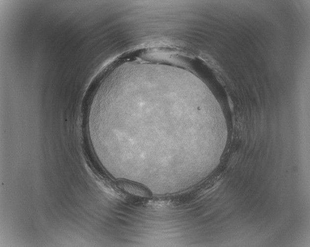 X0000066520440200604141818