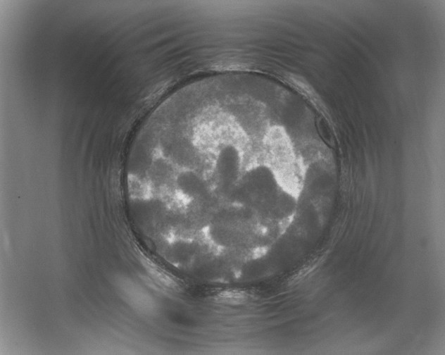 X0000066520441200604141818